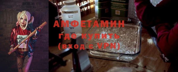 сатива Бронницы