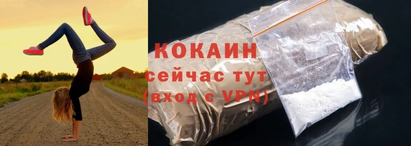 не бодяженный Бородино