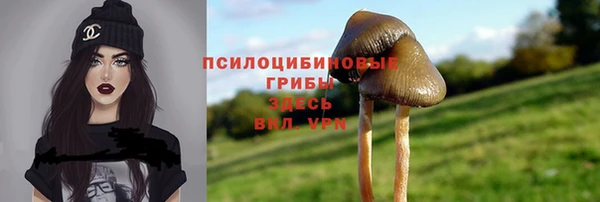 тгк Волоколамск