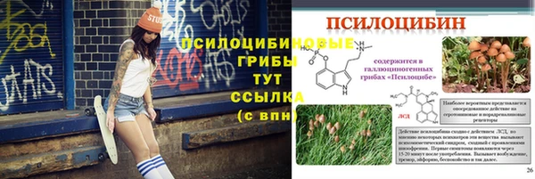 МДПВ Верхний Тагил